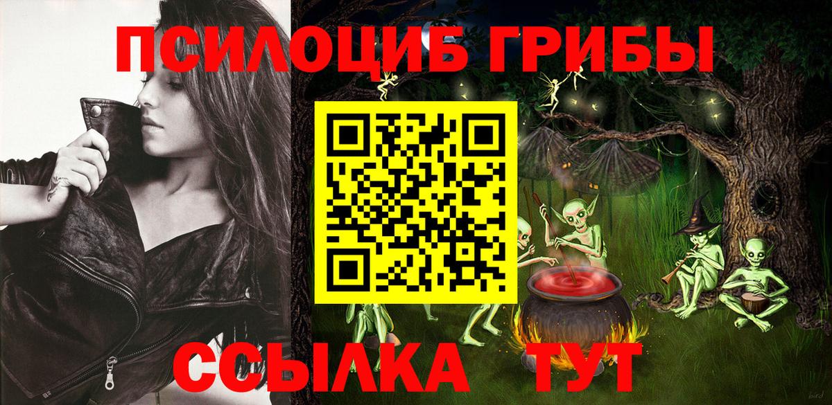 Галлюциногенные грибы прущие грибы Кстово